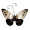 Eangee Home Design Butterfly Wall Decor & Reviews | Wayfair